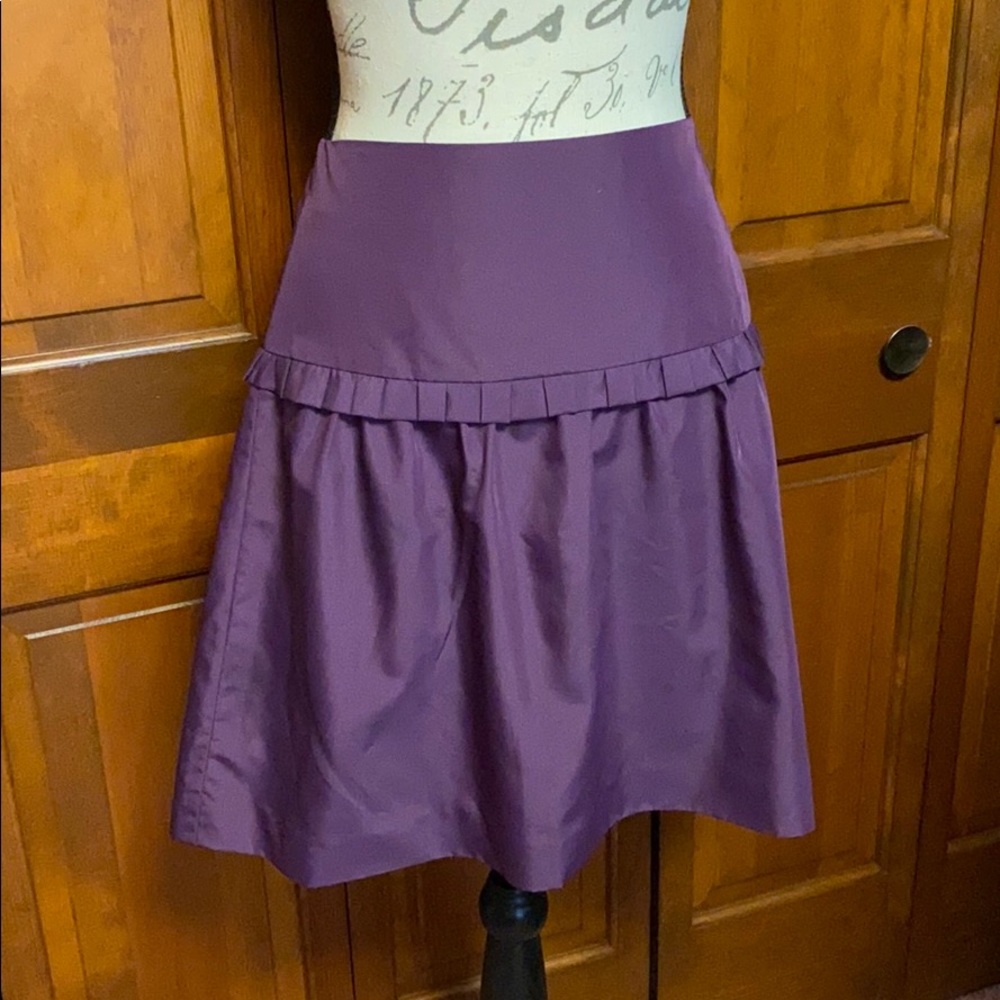 Purple Skirt
